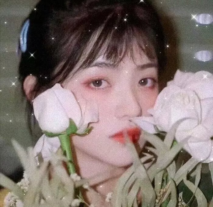 鲨海血危机